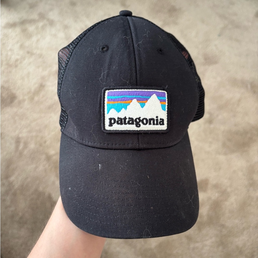 Patagonia Black Trucker Hat